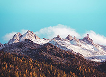 塞尔维亚教头担任猛龙新帅 纳什无缘重出江湖