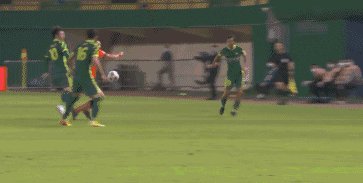 国安.gif